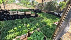 Selamat Datang di CV Atani Indo Kreasi